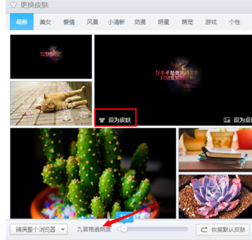 设置浏览器 设置浏览器